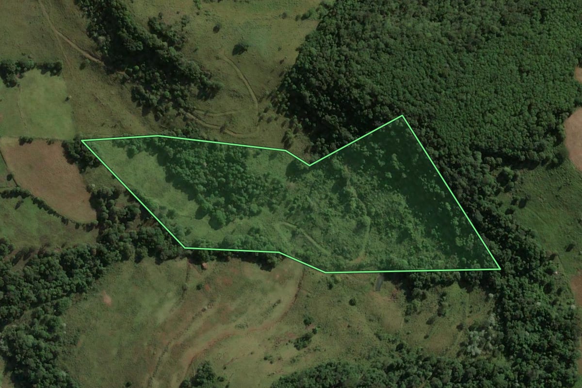 Imagem de satélite do imóvel rural em Ouro (SC), com o contorno declarado no CAR desenhado por cima.