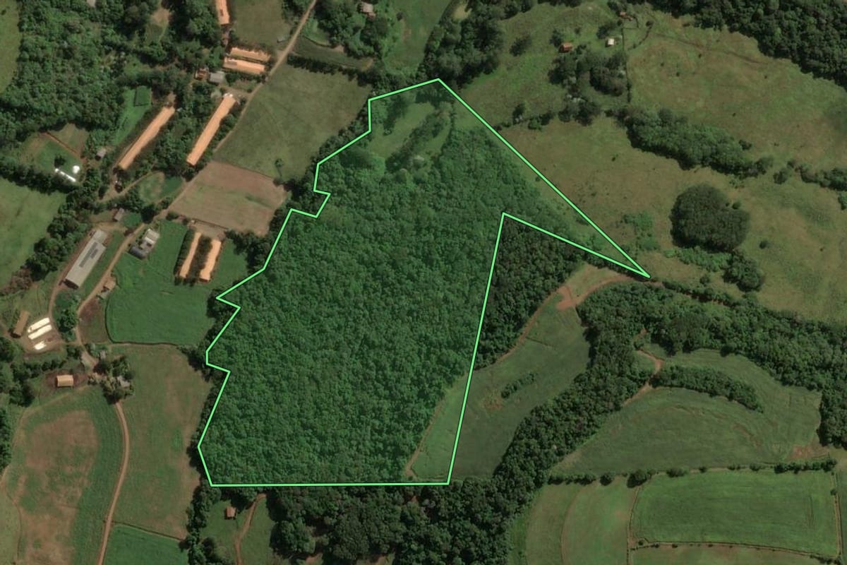Imagem de satélite do imóvel rural em Ouro (SC), com o contorno declarado no CAR desenhado por cima.