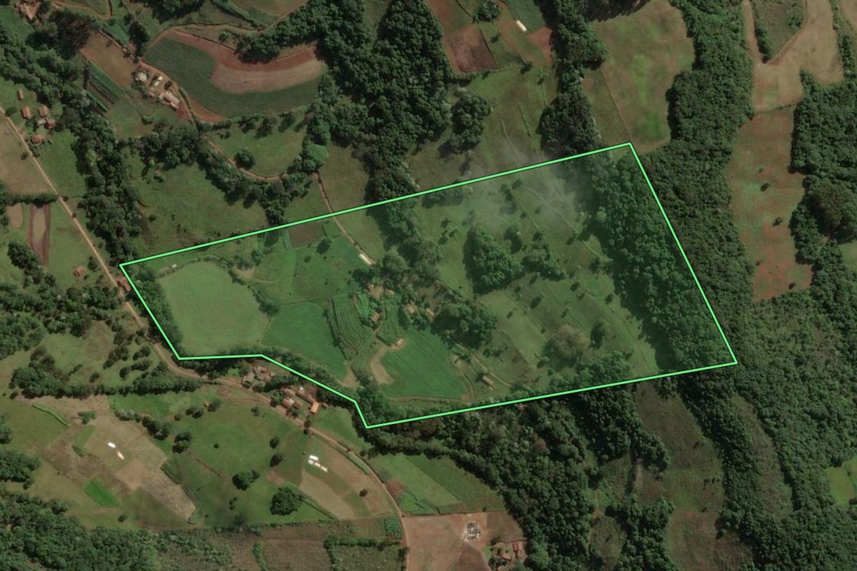 Imagem de satélite do imóvel rural em Ouro (SC), com o contorno declarado no CAR desenhado por cima.