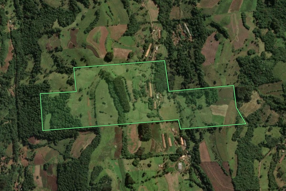 Imagem de satélite do imóvel rural em Ouro (SC), com o contorno declarado no CAR desenhado por cima.