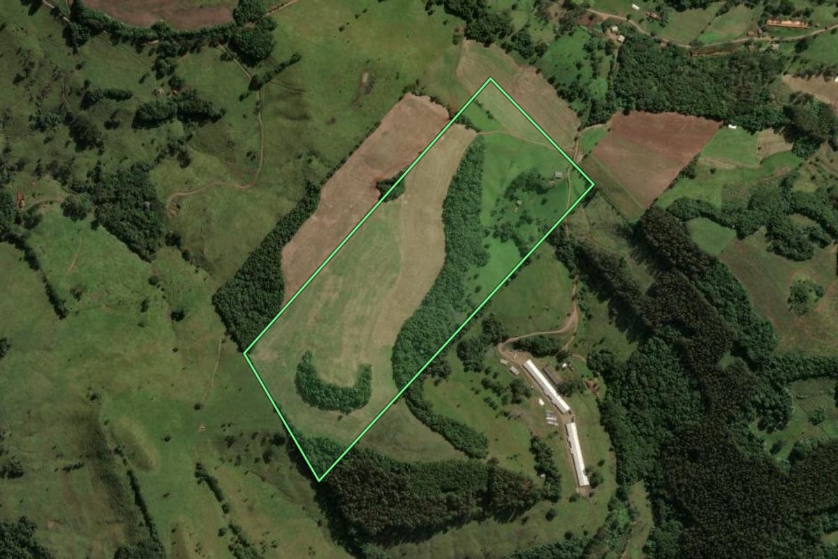Imagem de satélite do imóvel rural em Ouro (SC), com o contorno declarado no CAR desenhado por cima.