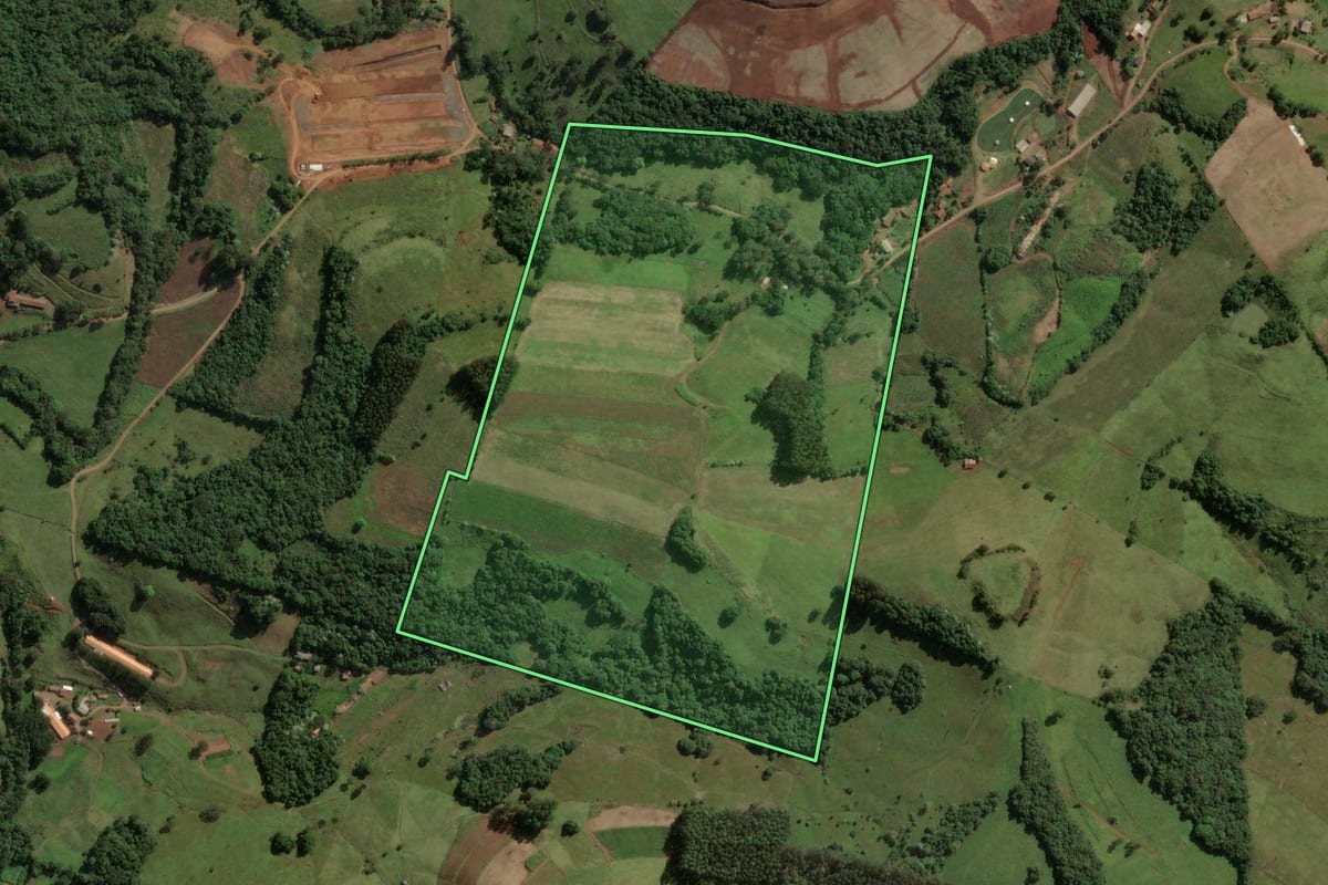 Imagem de satélite do imóvel rural em Ouro (SC), com o contorno declarado no CAR desenhado por cima.