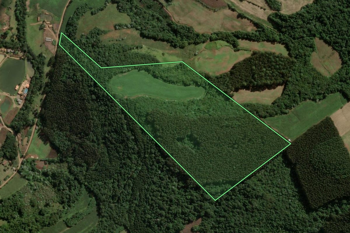 Imagem de satélite do imóvel rural em Ouro (SC), com o contorno declarado no CAR desenhado por cima.
