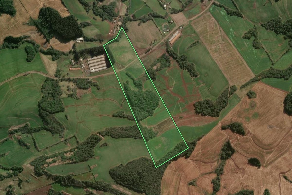 Imagem de satélite do imóvel rural em Ouro Verde (SC), com o contorno declarado no CAR desenhado por cima.