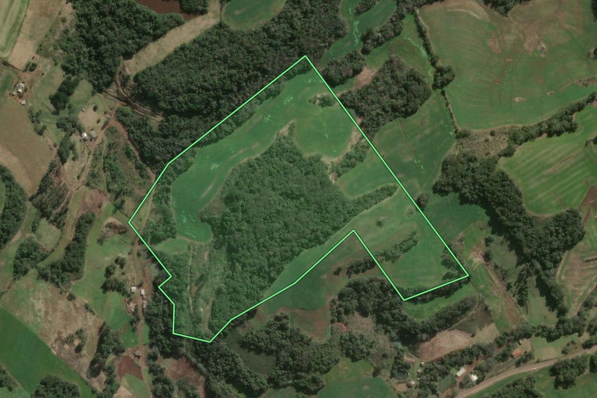 Imagem de satélite do imóvel rural em Ouro Verde (SC), com o contorno declarado no CAR desenhado por cima.