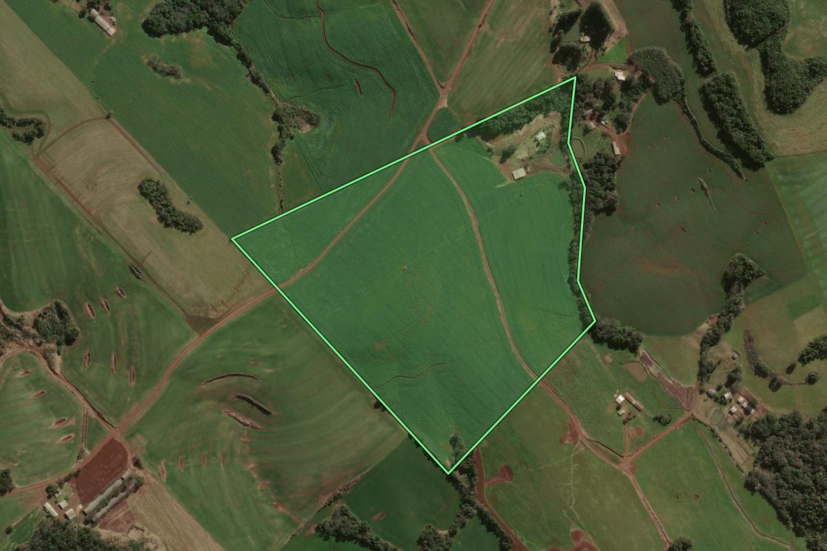 Imagem de satélite do imóvel rural em Ouro Verde (SC), com o contorno declarado no CAR desenhado por cima.