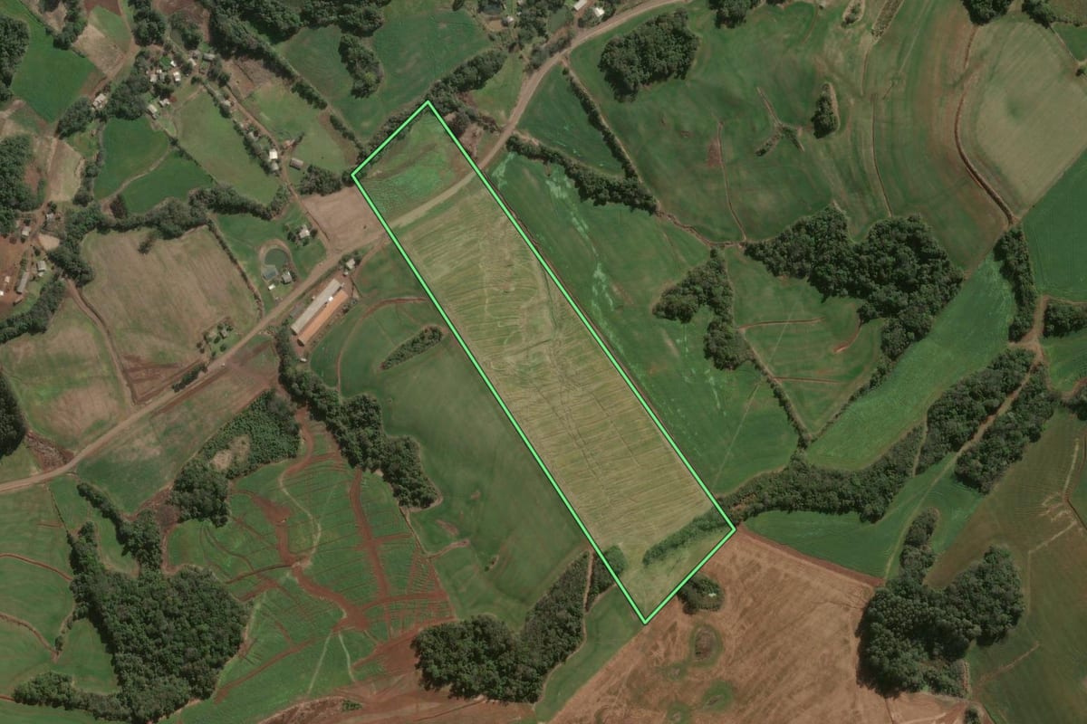 Imagem de satélite do imóvel rural em Ouro Verde (SC), com o contorno declarado no CAR desenhado por cima.
