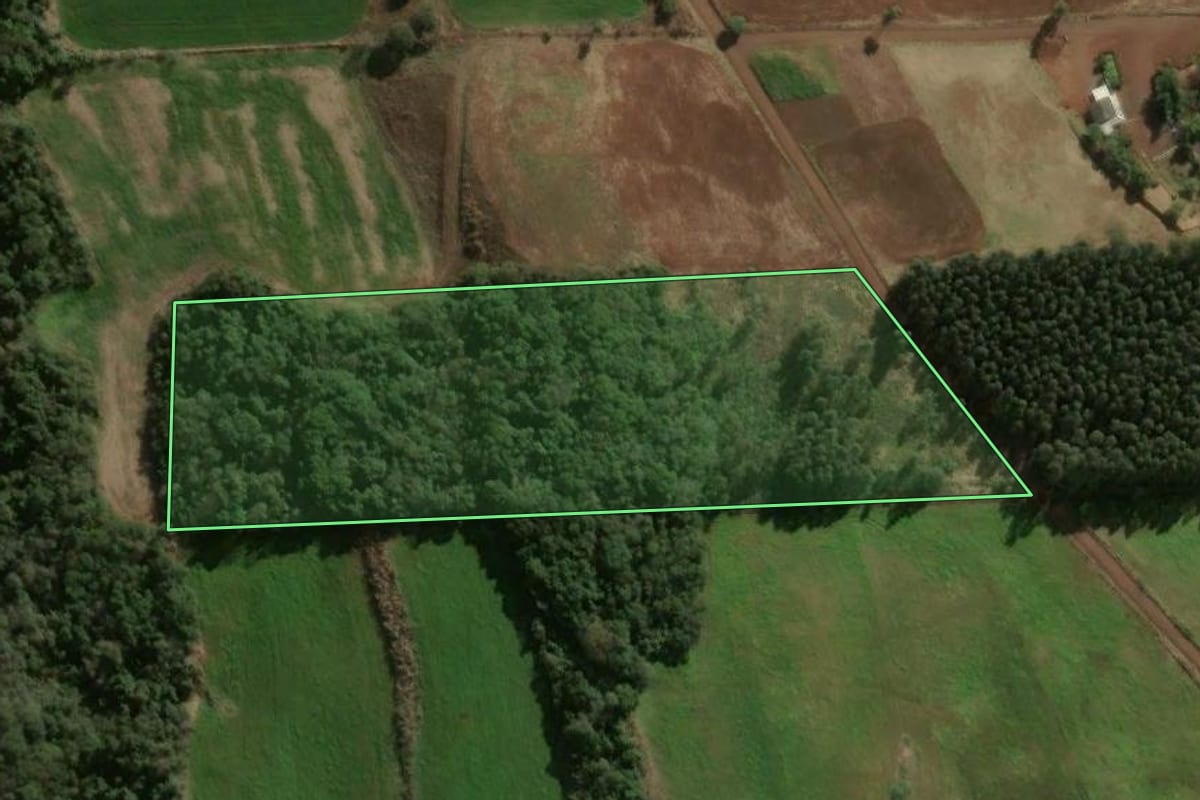 Imagem de satélite do imóvel rural em Ouro Verde (SC), com o contorno declarado no CAR desenhado por cima.