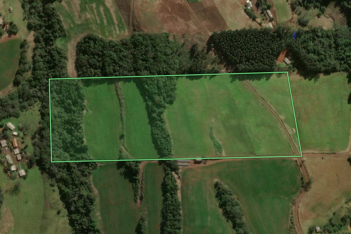 Imagem de satélite do imóvel rural em Ouro Verde (SC), com o contorno declarado no CAR desenhado por cima.
