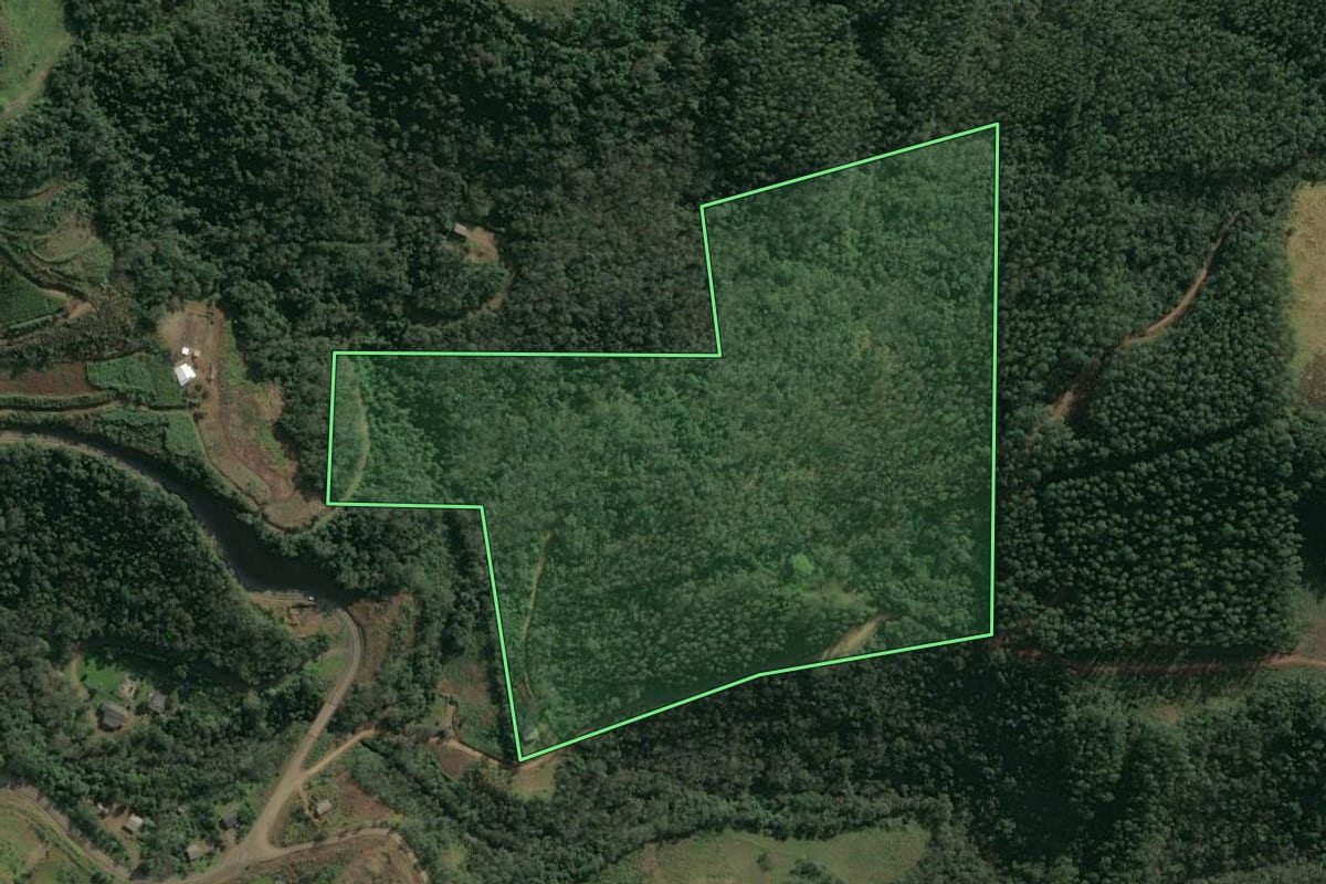 Imagem de satélite do imóvel rural em Paial (SC), com o contorno declarado no CAR desenhado por cima.