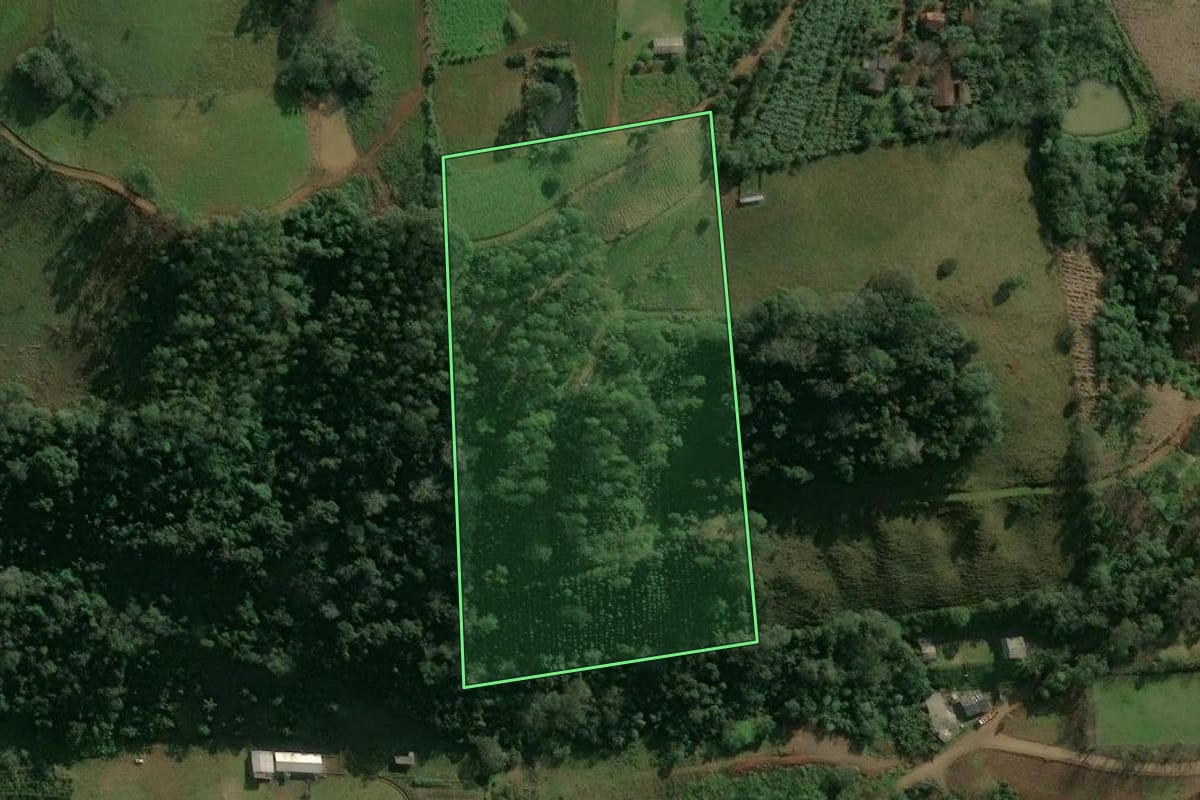 Imagem de satélite do imóvel rural em Paial (SC), com o contorno declarado no CAR desenhado por cima.