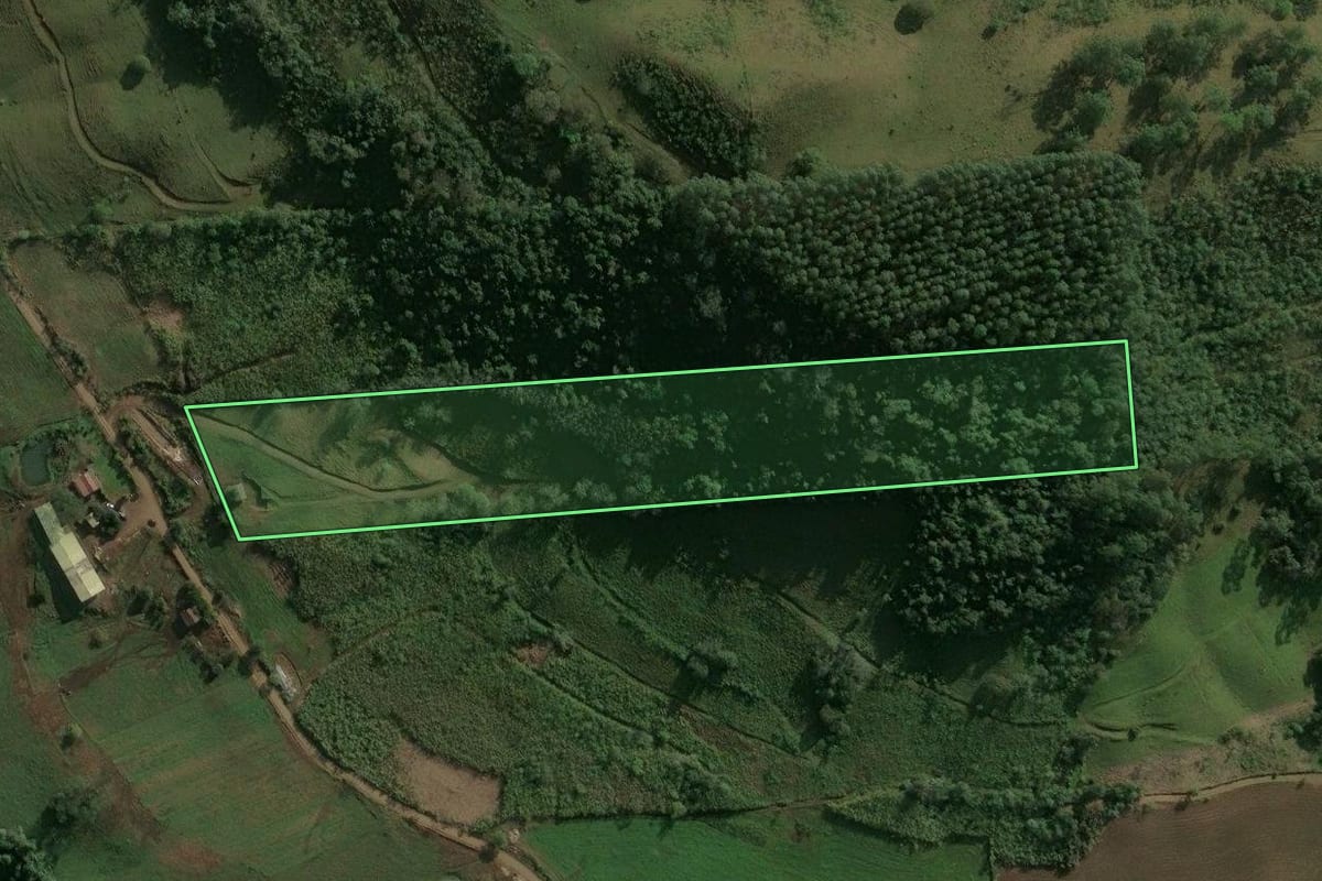 Imagem de satélite do imóvel rural em Paial (SC), com o contorno declarado no CAR desenhado por cima.