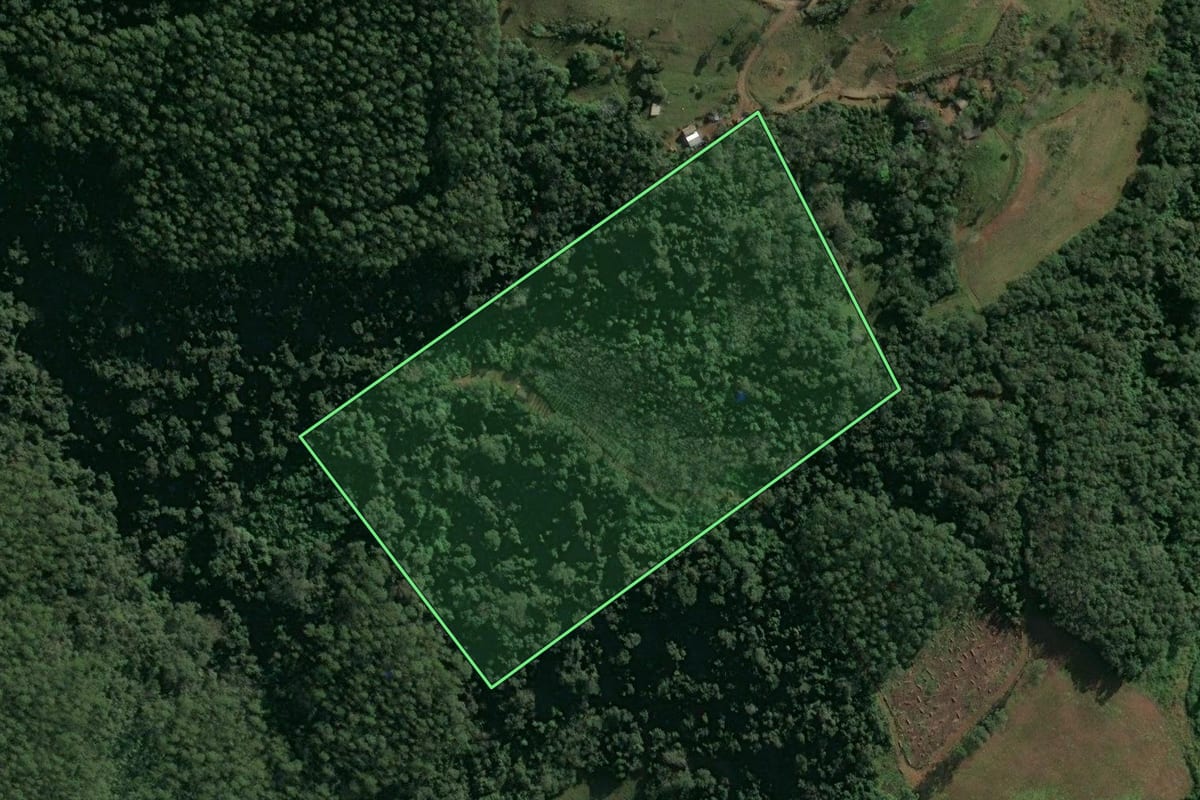 Imagem de satélite do imóvel rural em Paial (SC), com o contorno declarado no CAR desenhado por cima.