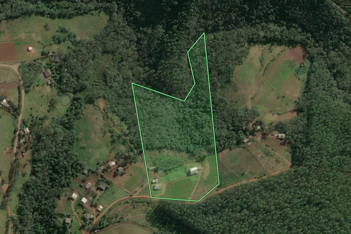 Imagem de satélite do imóvel rural em Paial (SC), com o contorno declarado no CAR desenhado por cima.