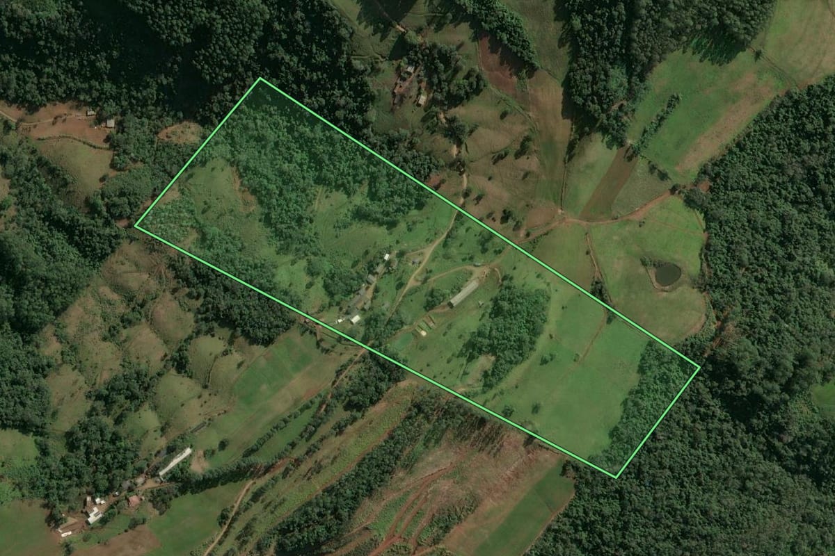 Imagem de satélite do imóvel rural em Paial (SC), com o contorno declarado no CAR desenhado por cima.