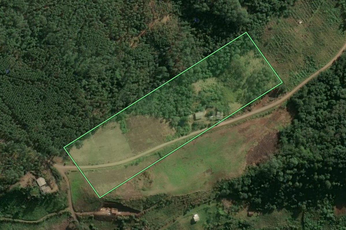Imagem de satélite do imóvel rural em Paial (SC), com o contorno declarado no CAR desenhado por cima.
