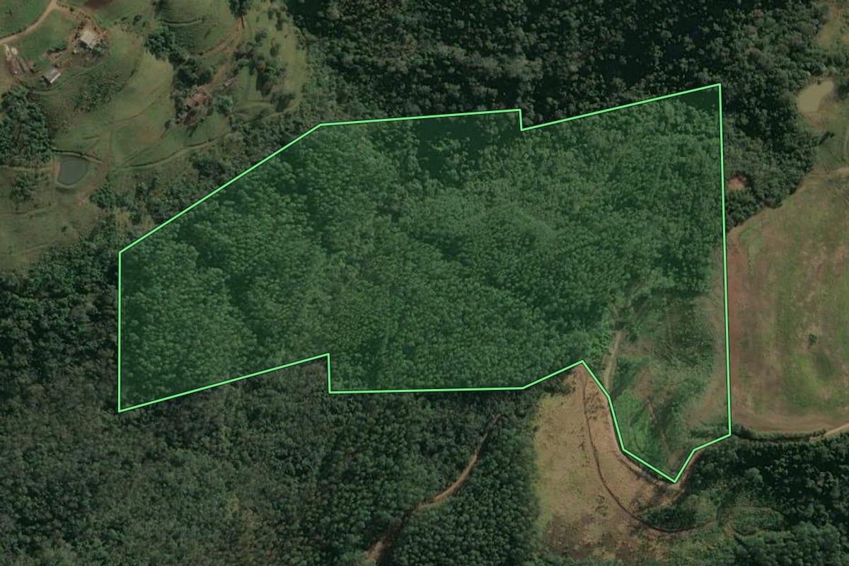 Imagem de satélite do imóvel rural em Paial (SC), com o contorno declarado no CAR desenhado por cima.