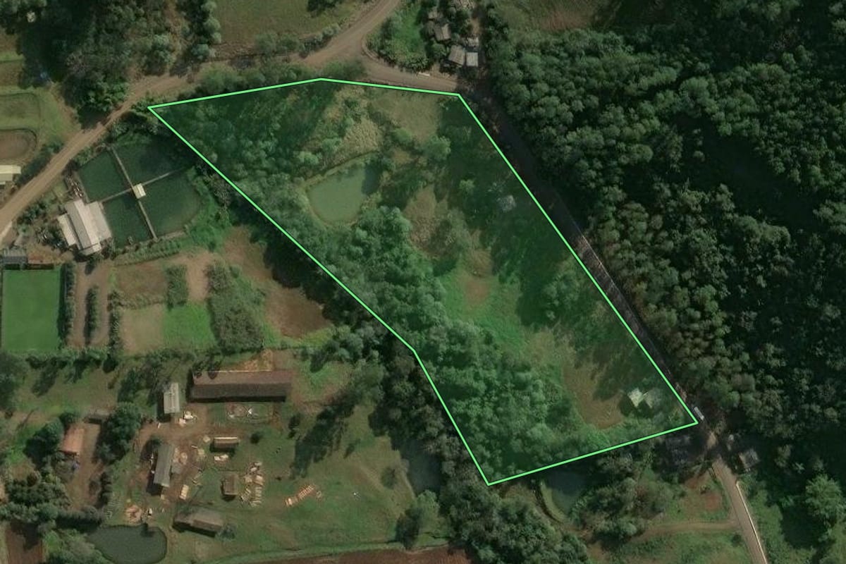 Imagem de satélite do imóvel rural em Paial (SC), com o contorno declarado no CAR desenhado por cima.