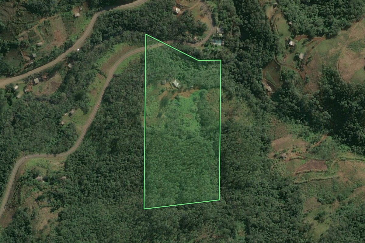 Imagem de satélite do imóvel rural em Paial (SC), com o contorno declarado no CAR desenhado por cima.