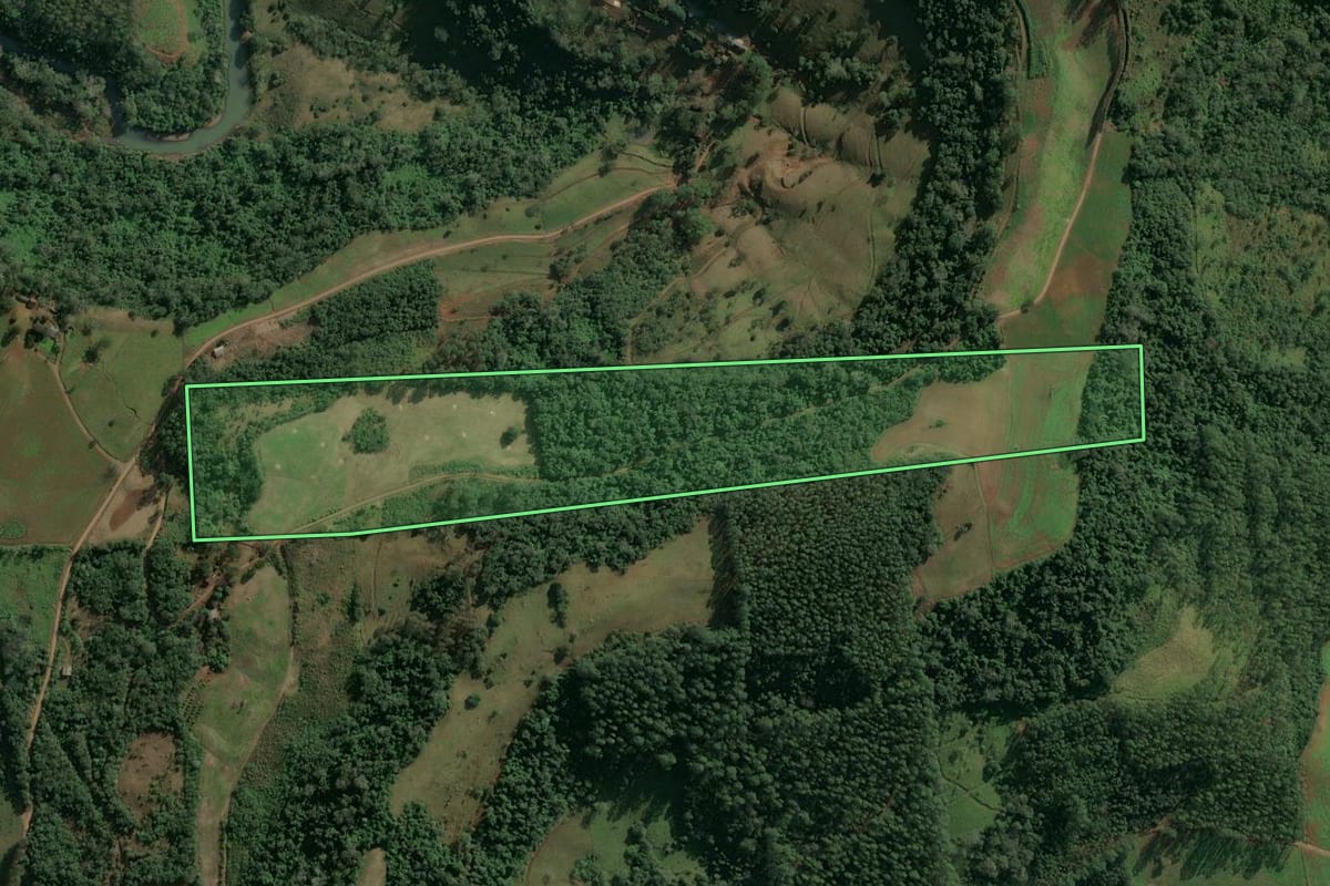 Imagem de satélite do imóvel rural em Paial (SC), com o contorno declarado no CAR desenhado por cima.
