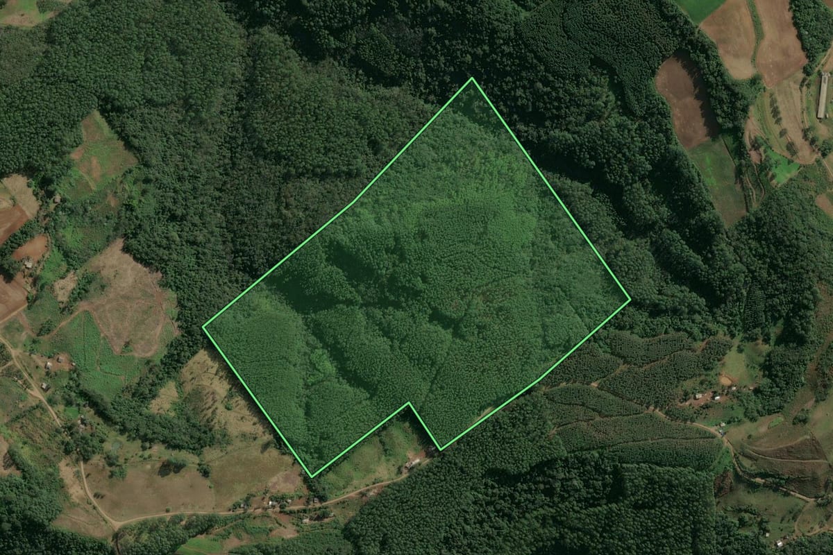 Imagem de satélite do imóvel rural em Paial (SC), com o contorno declarado no CAR desenhado por cima.