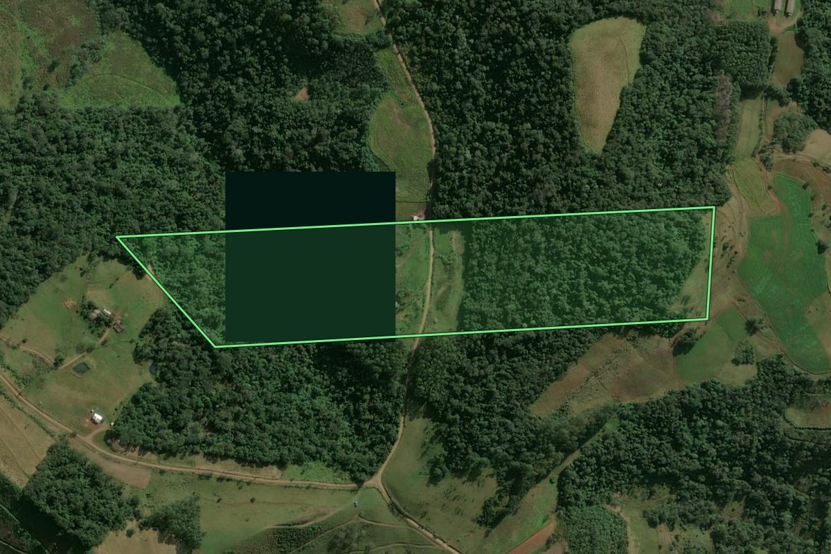 Imagem de satélite do imóvel rural em Paial (SC), com o contorno declarado no CAR desenhado por cima.