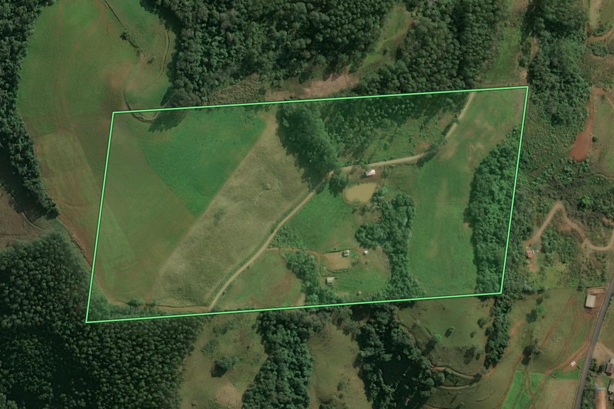 Imagem de satélite do imóvel rural em Paial (SC), com o contorno declarado no CAR desenhado por cima.
