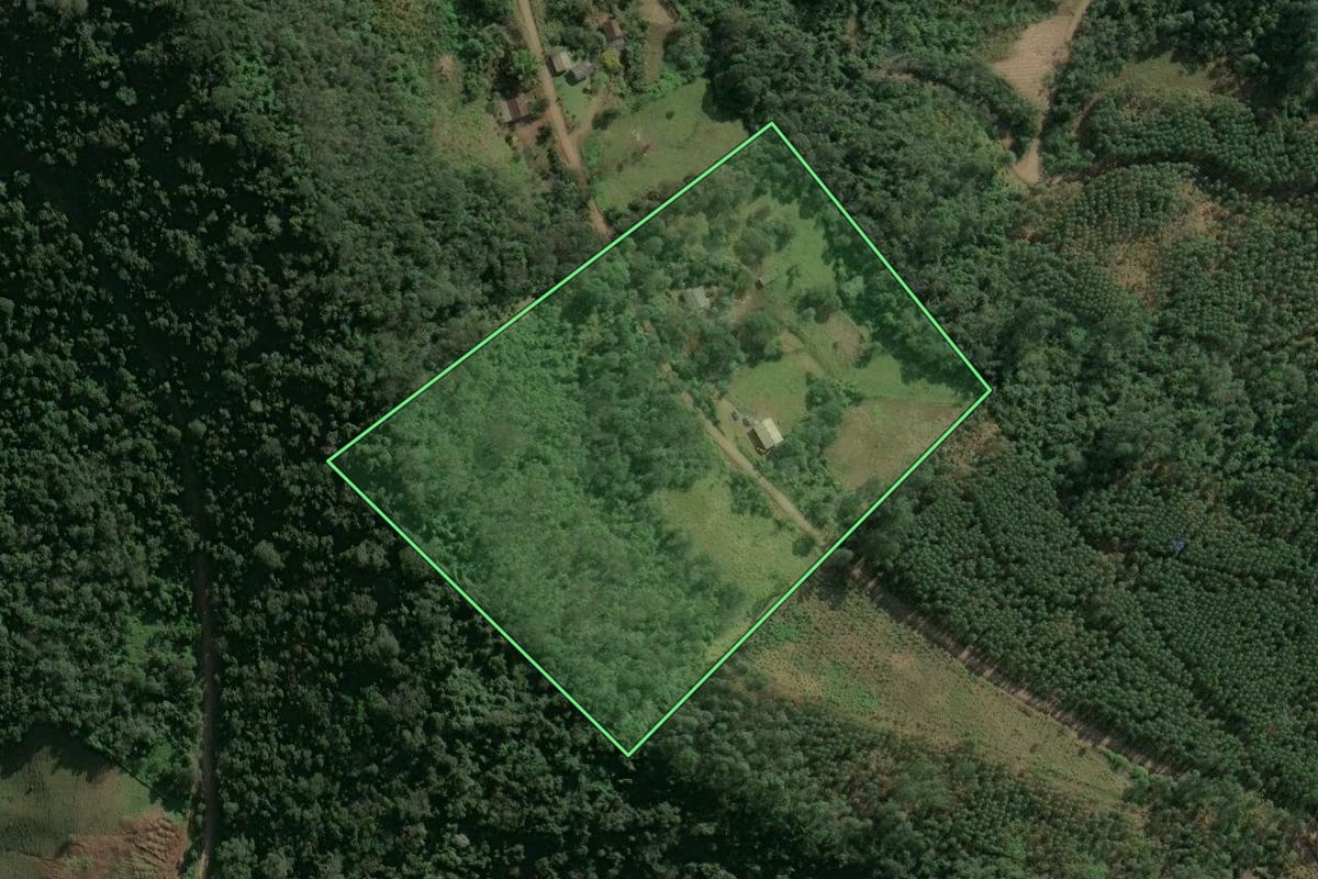 Imagem de satélite do imóvel rural em Paial (SC), com o contorno declarado no CAR desenhado por cima.