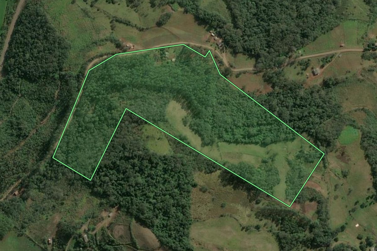 Imagem de satélite do imóvel rural em Paial (SC), com o contorno declarado no CAR desenhado por cima.