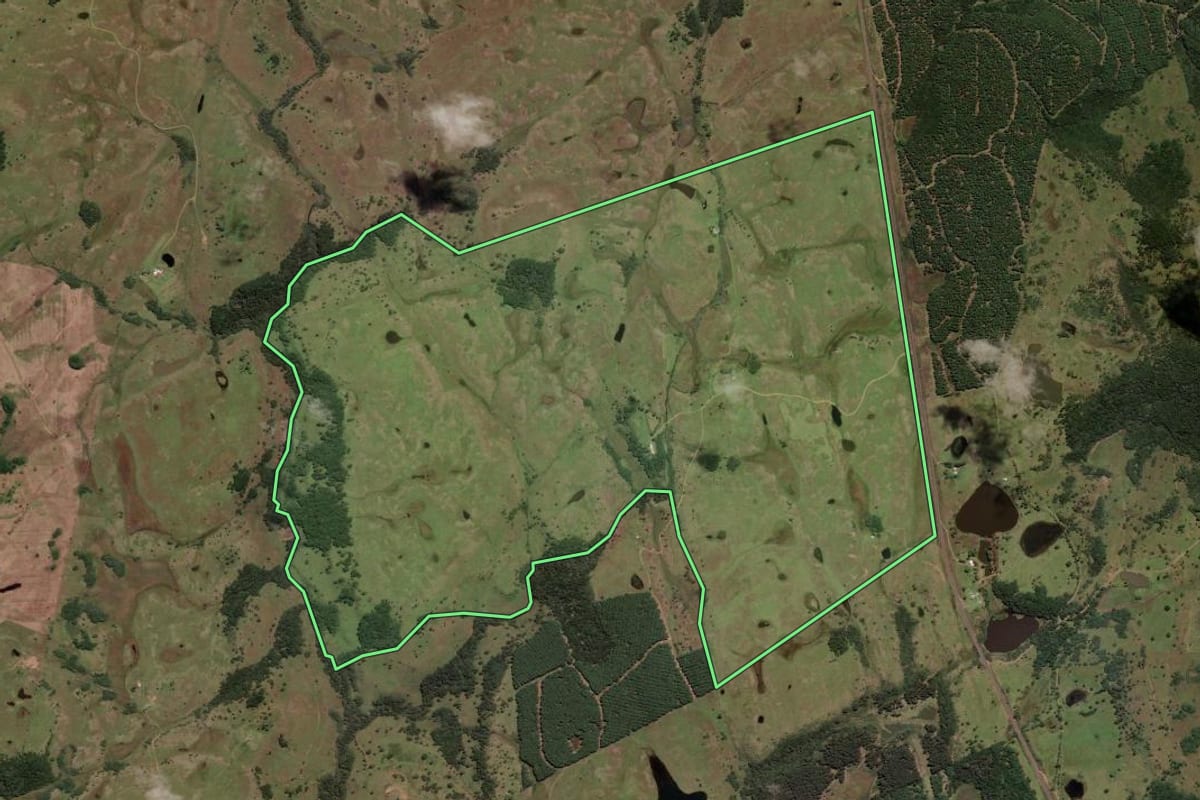 Imagem de satélite do imóvel rural em Painel (SC), com o contorno declarado no CAR desenhado por cima.