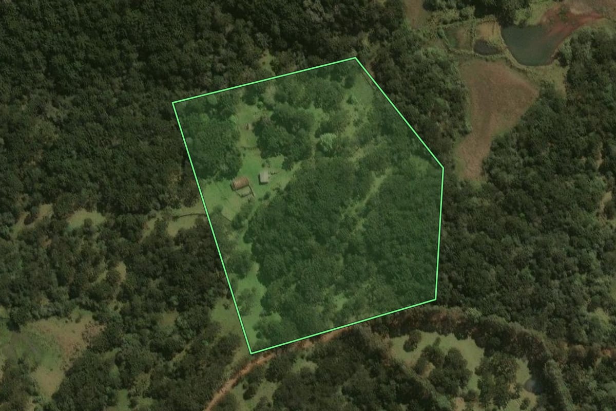 Imagem de satélite do imóvel rural em Painel (SC), com o contorno declarado no CAR desenhado por cima.