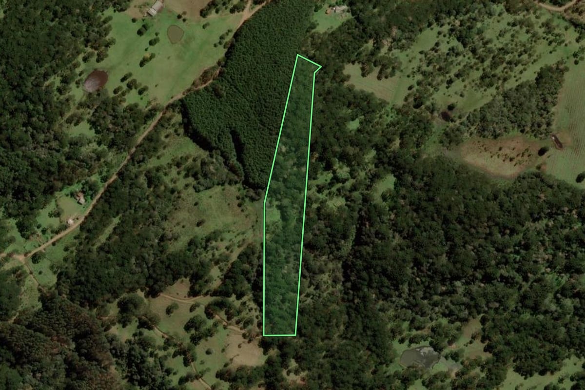 Imagem de satélite do imóvel rural em Painel (SC), com o contorno declarado no CAR desenhado por cima.