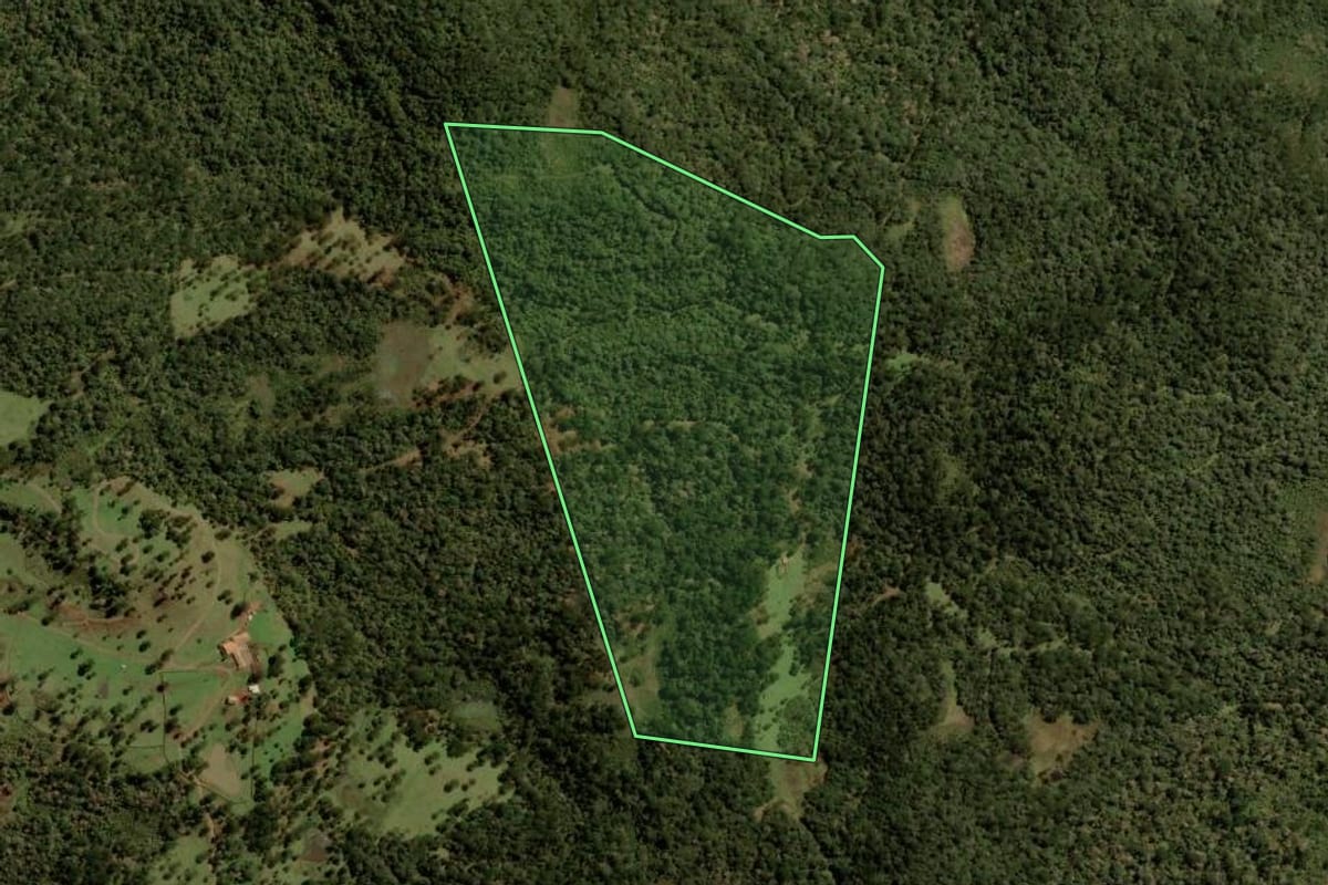 Imagem de satélite do imóvel rural em Painel (SC), com o contorno declarado no CAR desenhado por cima.