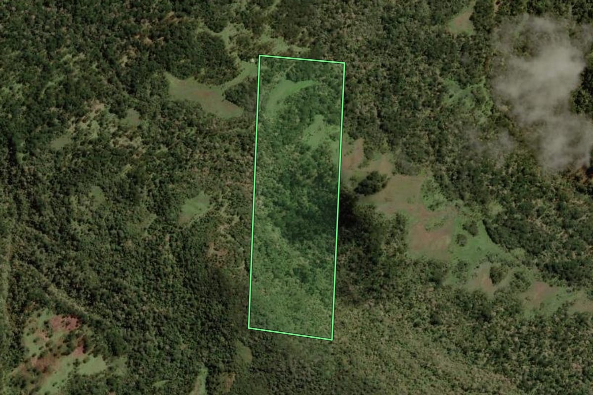 Imagem de satélite do imóvel rural em Painel (SC), com o contorno declarado no CAR desenhado por cima.