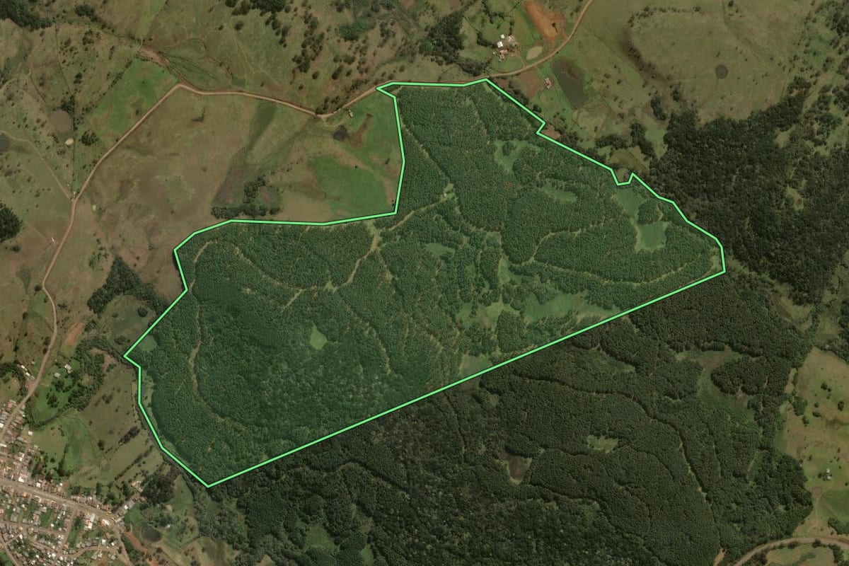 Imagem de satélite do imóvel rural em Painel (SC), com o contorno declarado no CAR desenhado por cima.