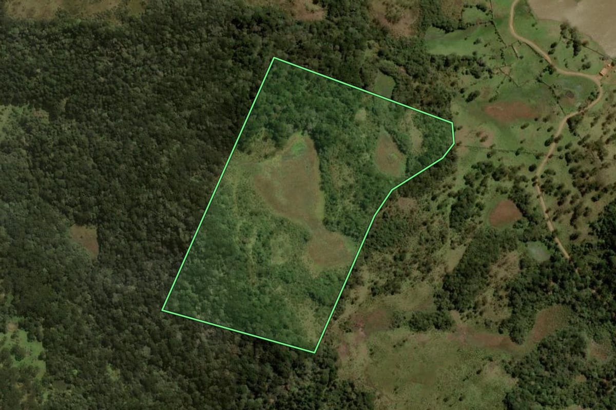Imagem de satélite do imóvel rural em Painel (SC), com o contorno declarado no CAR desenhado por cima.