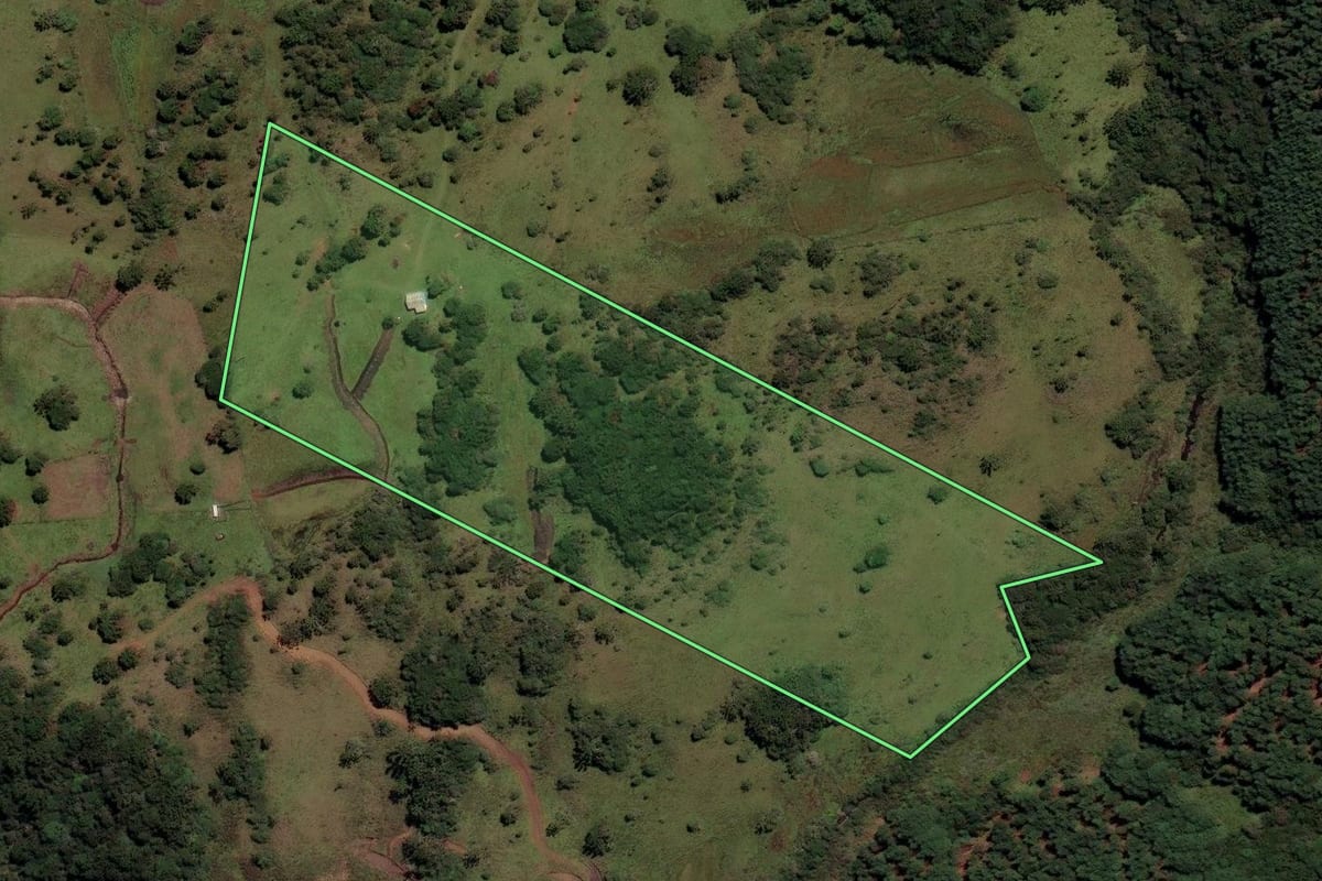 Imagem de satélite do imóvel rural em Painel (SC), com o contorno declarado no CAR desenhado por cima.