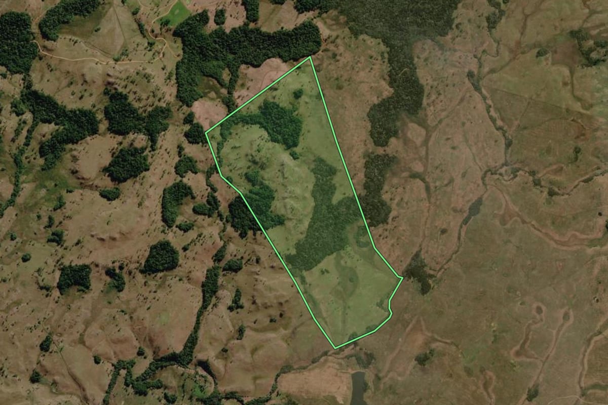 Imagem de satélite do imóvel rural em Painel (SC), com o contorno declarado no CAR desenhado por cima.