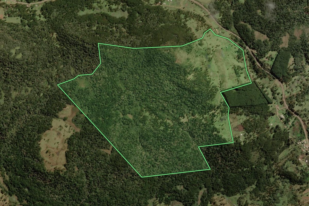 Imagem de satélite do imóvel rural em Painel (SC), com o contorno declarado no CAR desenhado por cima.