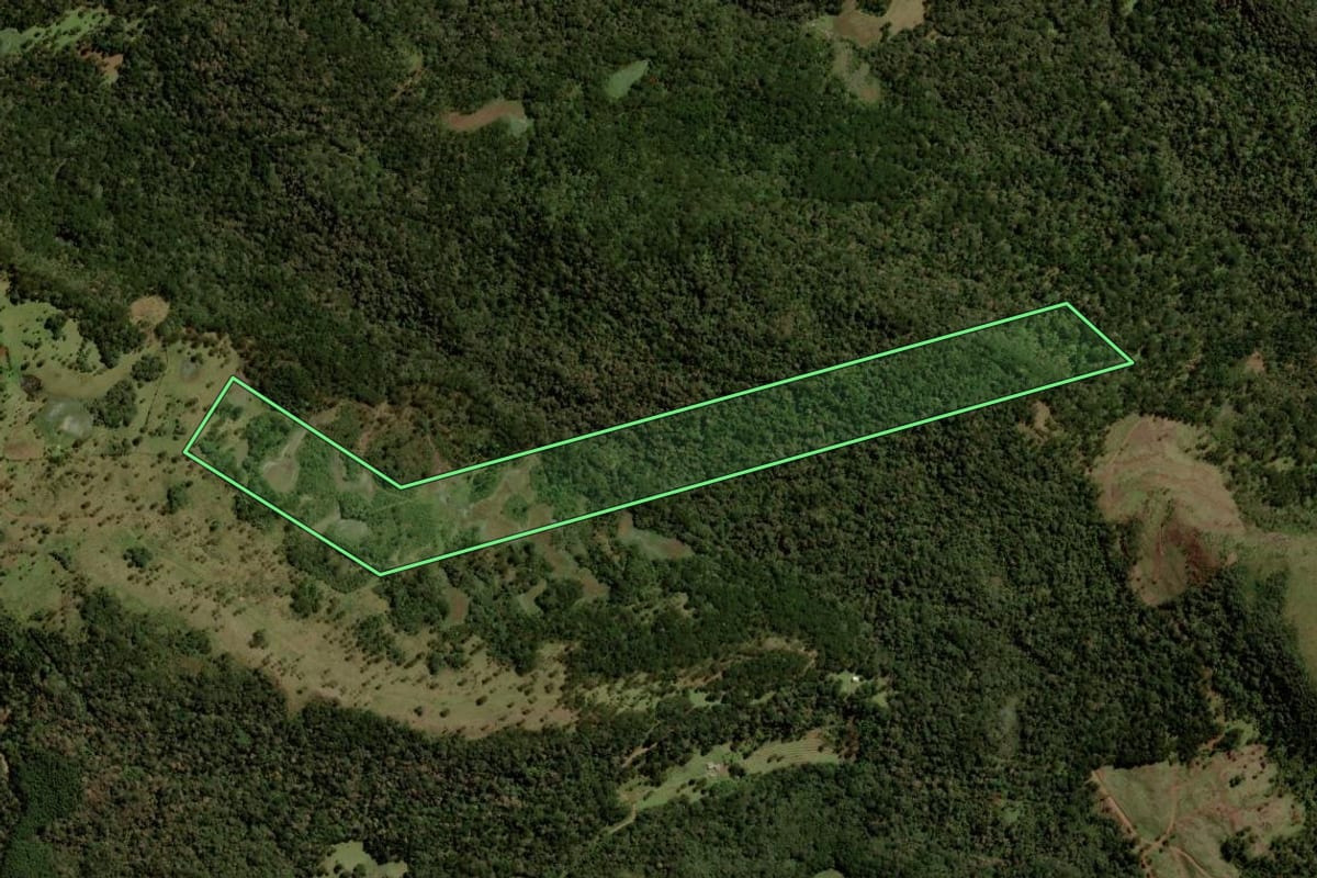 Imagem de satélite do imóvel rural em Painel (SC), com o contorno declarado no CAR desenhado por cima.