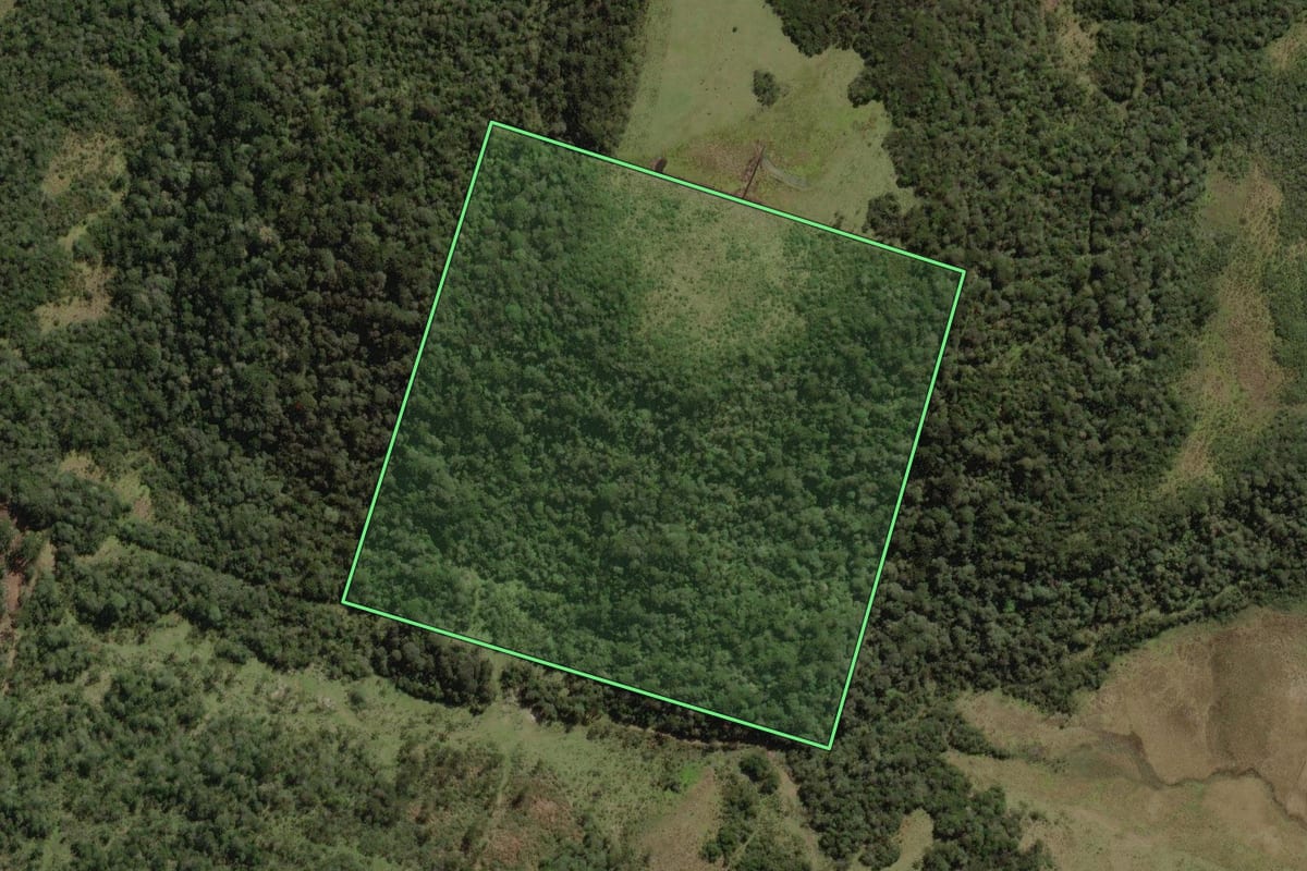 Imagem de satélite do imóvel rural em Painel (SC), com o contorno declarado no CAR desenhado por cima.