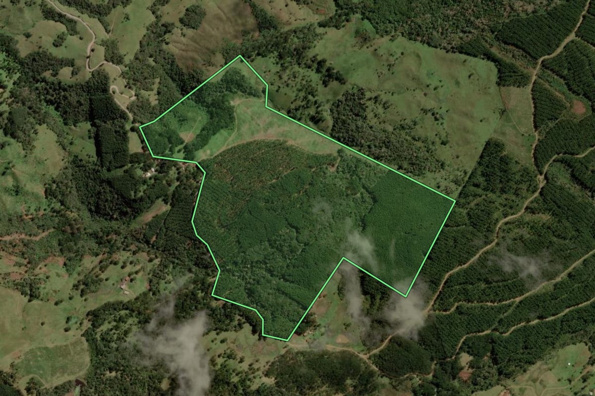 Imagem de satélite do imóvel rural em Painel (SC), com o contorno declarado no CAR desenhado por cima.