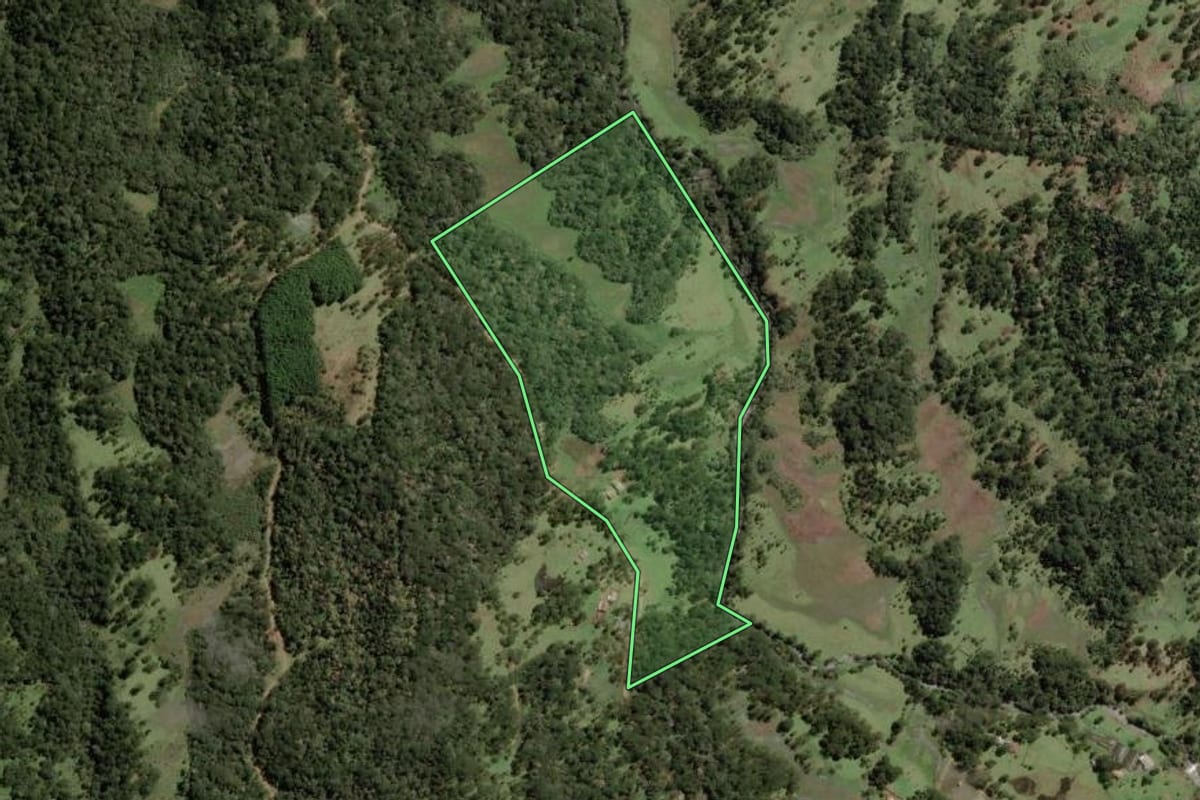 Imagem de satélite do imóvel rural em Painel (SC), com o contorno declarado no CAR desenhado por cima.