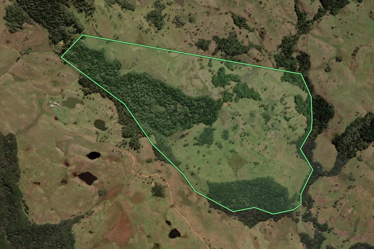Imagem de satélite do imóvel rural em Painel (SC), com o contorno declarado no CAR desenhado por cima.