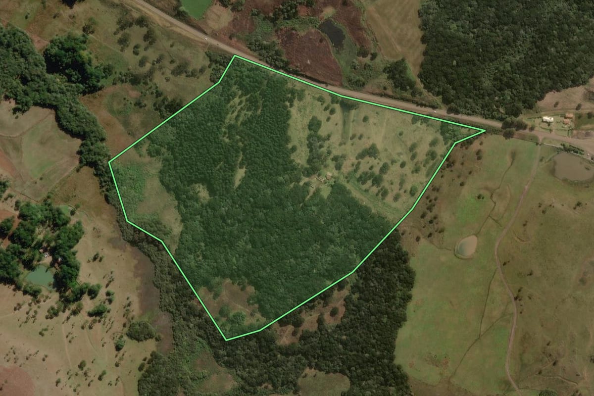 Imagem de satélite do imóvel rural em Painel (SC), com o contorno declarado no CAR desenhado por cima.