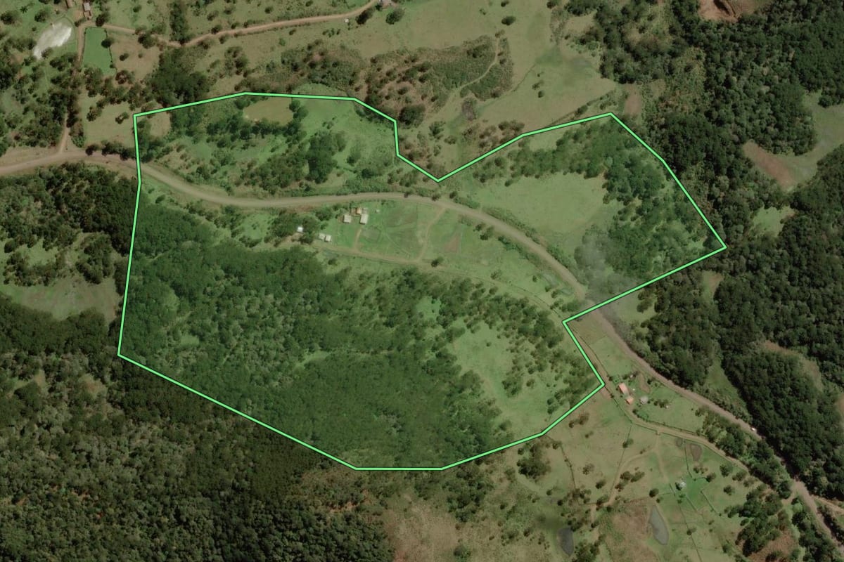 Imagem de satélite do imóvel rural em Painel (SC), com o contorno declarado no CAR desenhado por cima.