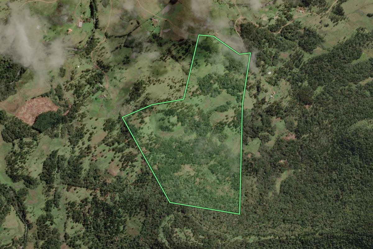Imagem de satélite do imóvel rural em Painel (SC), com o contorno declarado no CAR desenhado por cima.