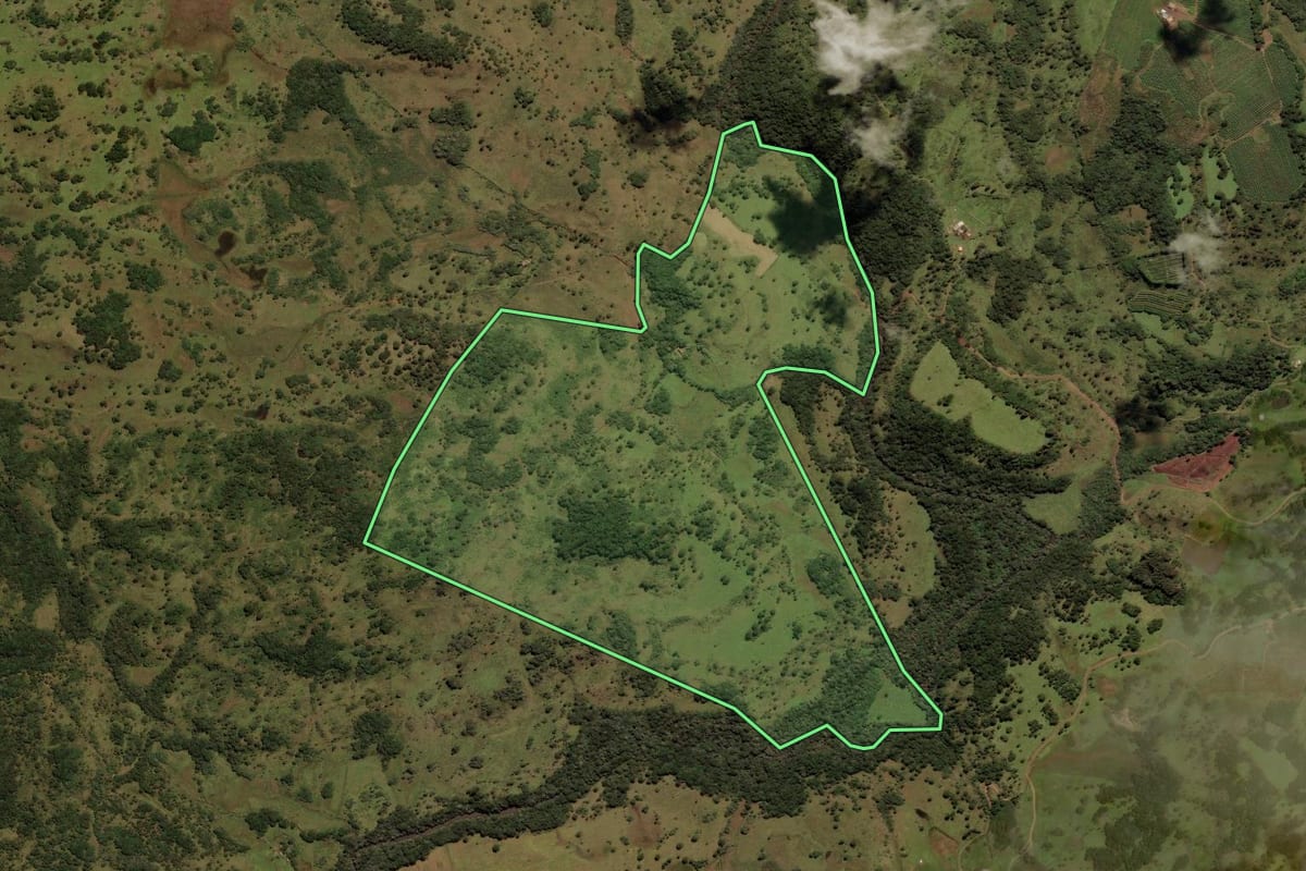 Imagem de satélite do imóvel rural em Painel (SC), com o contorno declarado no CAR desenhado por cima.