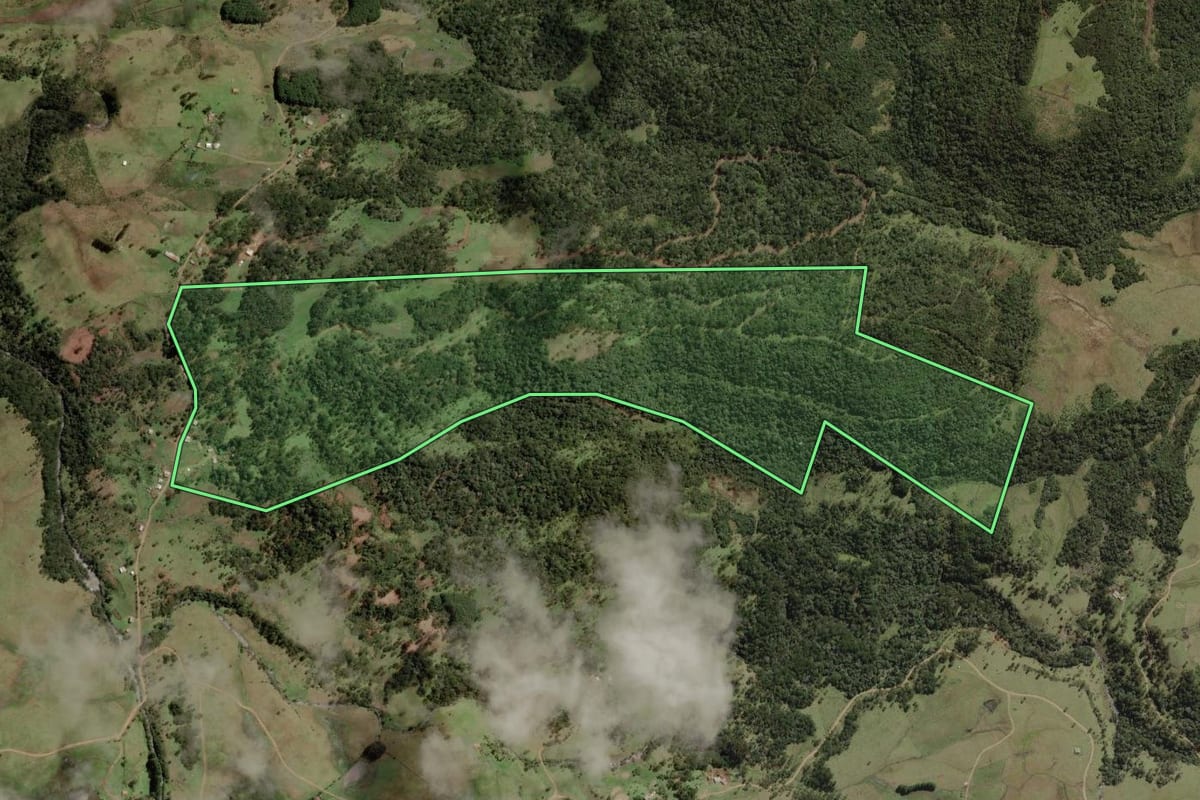 Imagem de satélite do imóvel rural em Painel (SC), com o contorno declarado no CAR desenhado por cima.