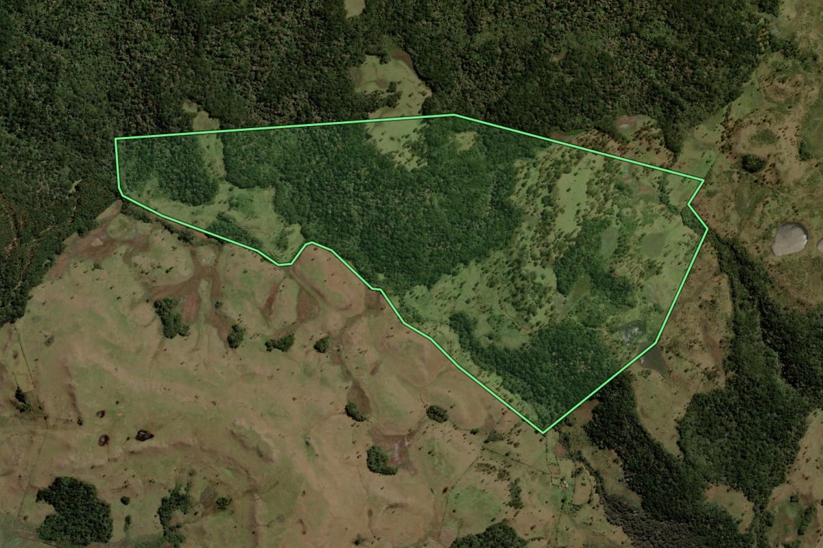 Imagem de satélite do imóvel rural em Painel (SC), com o contorno declarado no CAR desenhado por cima.